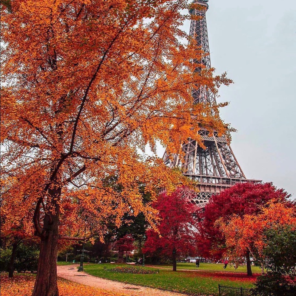 Meet your Posher, Richa